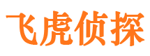 团城山市侦探调查公司